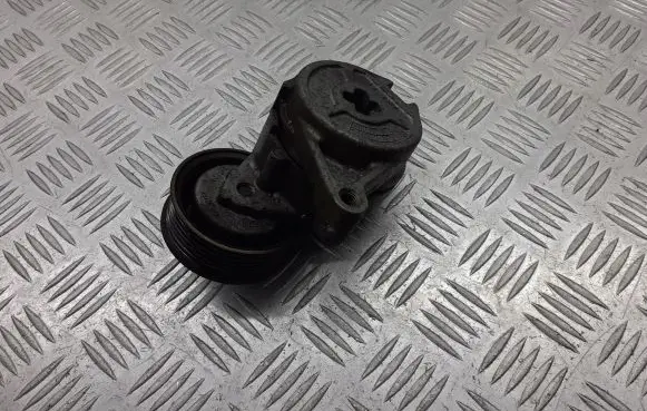 Mazda 3 I Alternator belt tensioner pulley 
