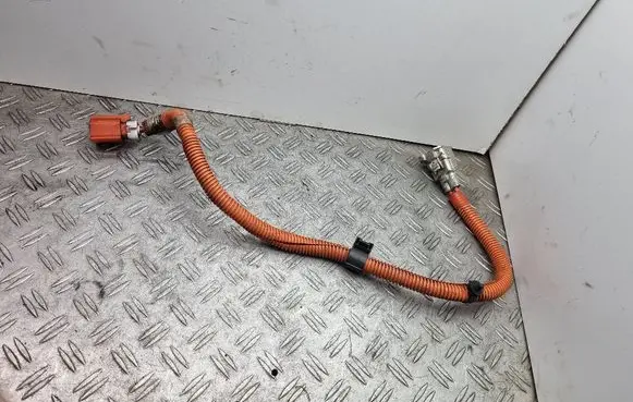 Lexus GS 300 350 430 450H Other wiring loom 8221230030B