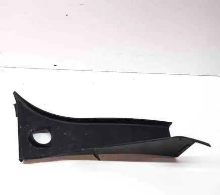 Rear/tail light trim molding