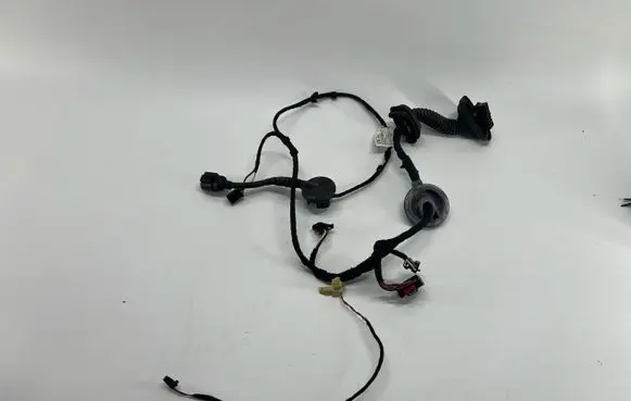 Front door wiring loom