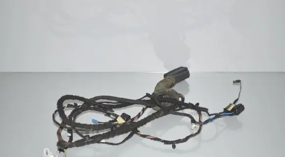 Rear door wiring loom