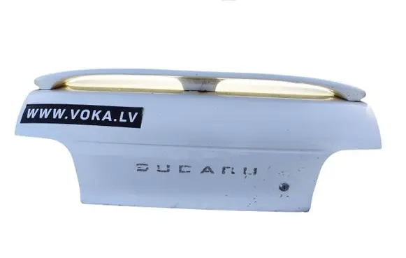 Tailgate/trunk/boot lid
