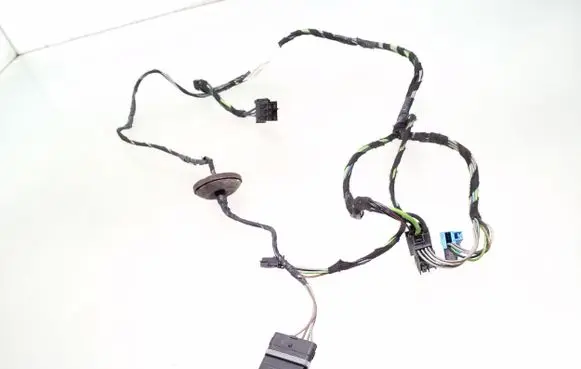 Mercedes-Benz B W245 Front door wiring loom A1695407705