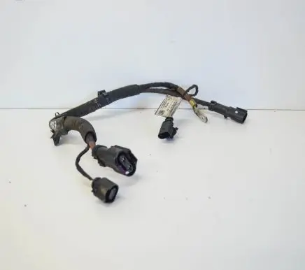 Audi A4 S4 B9 8W Other wiring loom 8W2971111