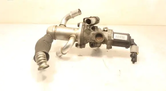 Fiat Punto (199) EGR valve