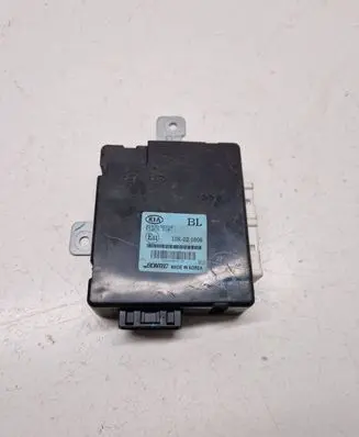 KIA Sorento Other control units/modules 954003E310