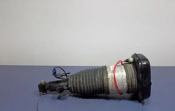 Rear shock absorber/damper