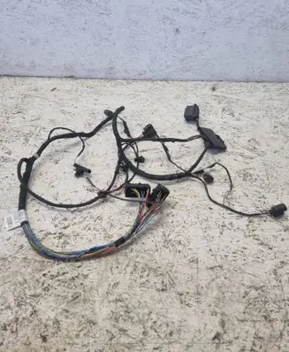 BMW 1 E81 E87 Front door wiring loom 11107810