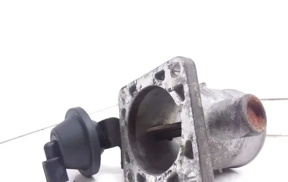 Throttle body valve