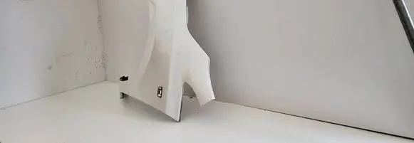Nissan Leaf I (ZE0) Fender