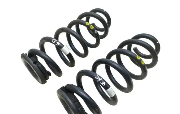 Rear coil spring