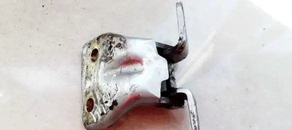 Rear door lower hinge