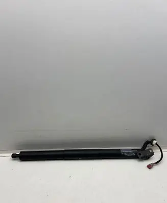 Ford Edge II Tailgate/trunk strut/damper FT4BR402A55BA V2G7B 53053C0224