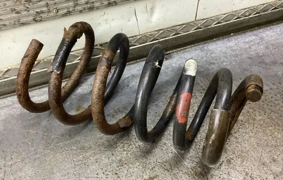 Rear coil spring