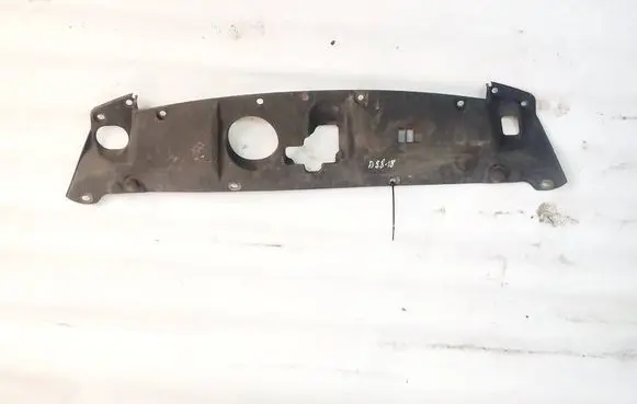 Engine bonnet/hood lock trim molding