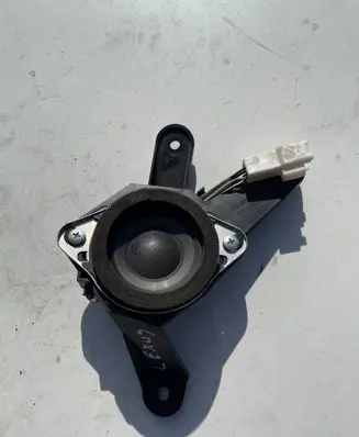 Front door speaker