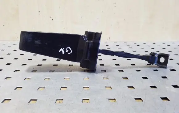 Rear door check strap stopper