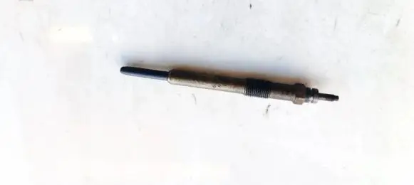 Peugeot 407 Glow plug 0250202048