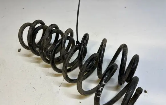 Volkswagen Golf Plus Rear coil spring
