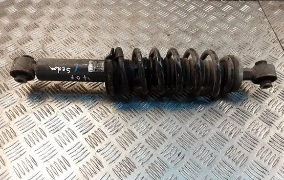 Peugeot 407 Rear shock absorber with coil spring 