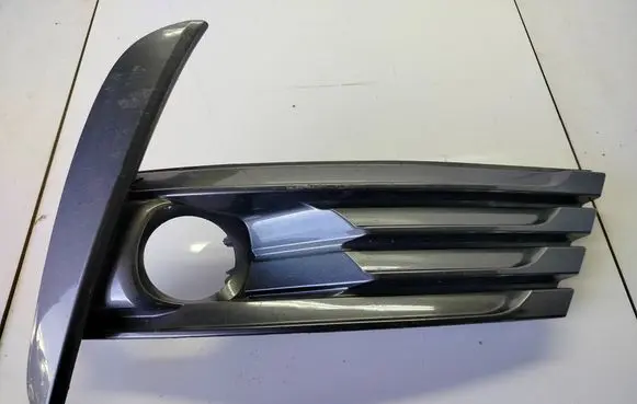 Front fog light trim/grill