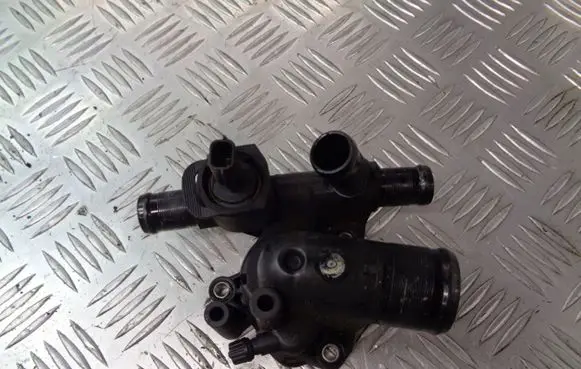 Thermostat/thermostat housing