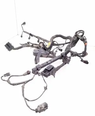 KIA Carens II Engine installation wiring loom 914201D090