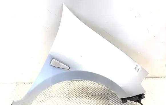 Renault Thalia II Fender 