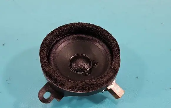 Front door speaker