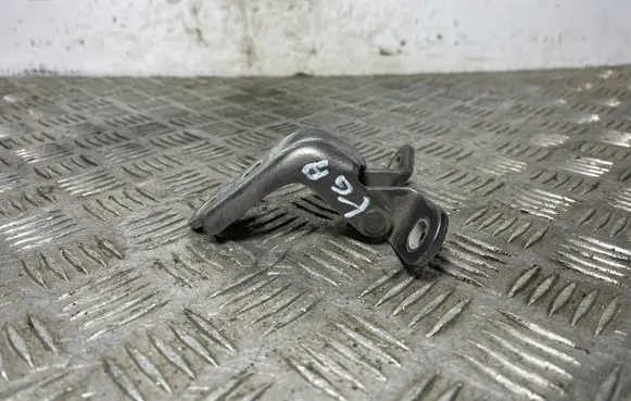 Hyundai Kona I Rear door lower hinge