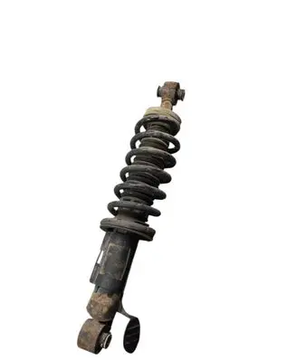Peugeot 508 Rear shock absorber with coil spring 9652905080