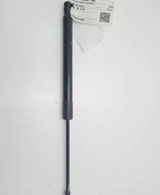 Tailgate strut