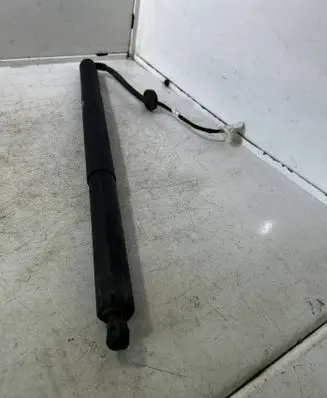 Tailgate strut