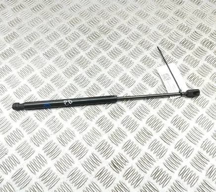 Ford Mustang Mach-E Front bonnet/hood damper/strut LJ8BR16C826AB