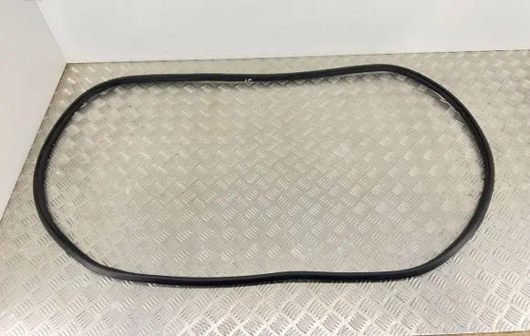 Nissan Navara D23 Front door rubber seal 