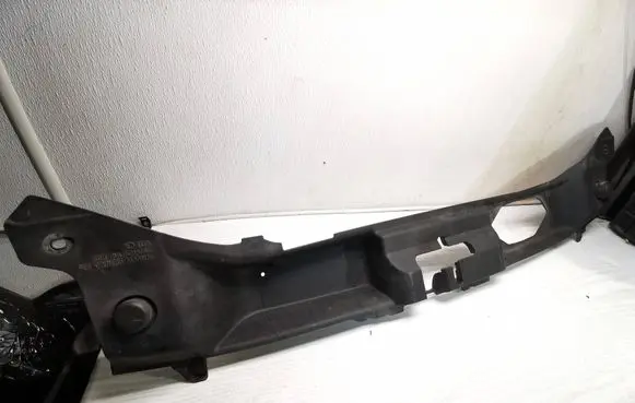 Engine bonnet/hood lock trim molding