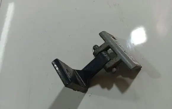 Rear door lower hinge