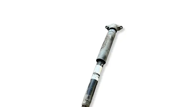Ford Kuga II Rear shock absorber/damper 