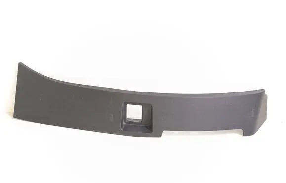 Rear/tail light trim molding