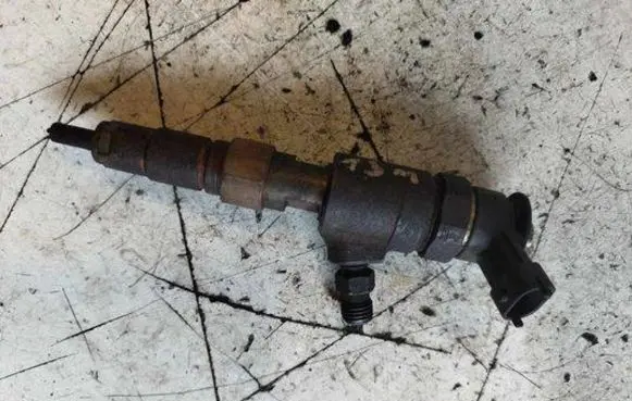 Citroen C3 Picasso Fuel injector 0445110340