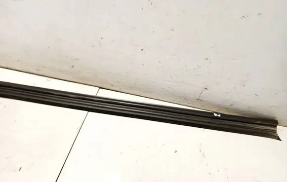 Volkswagen PASSAT B6 Rubber seal front coupe door 