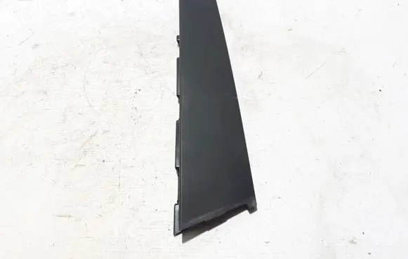 Renault Clio V Front door glass trim molding 802854750R