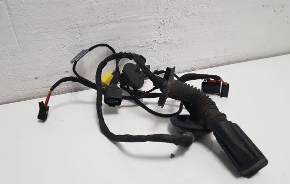 Front door wiring loom