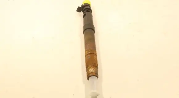 Citroen C4 Grand Picasso Fuel injector 9686191080