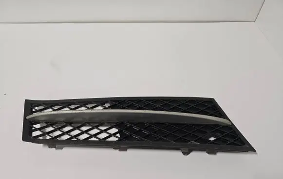BMW 5 F10 F11 Front bumper lower grill 7231860 7200700