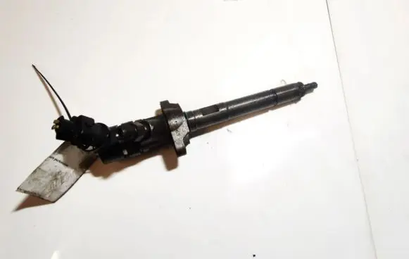 Peugeot Partner Fuel injector 0445110239 606680