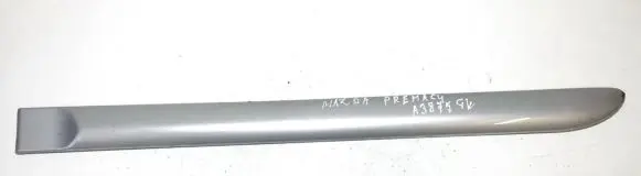 Rear door trim (molding)