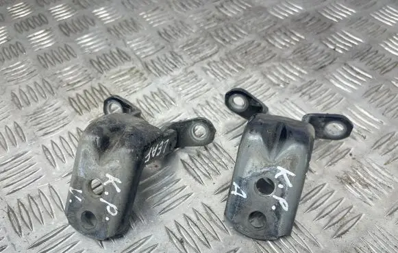 Nissan Leaf I (ZE0) Front door hinge set 