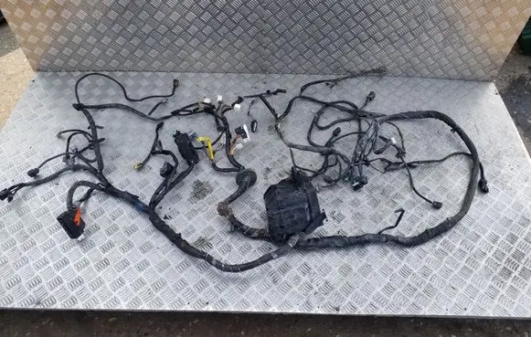 Suzuki Grand Vitara II Other wiring loom 3660167JB0