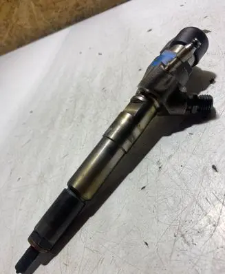 Nissan Qashqai Fuel injector H8201100113 166006212R